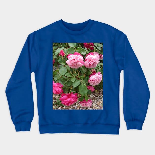 Pink Vintage Rose Flower Photo Crewneck Sweatshirt by SarahRajkotwala